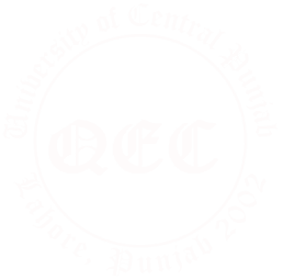 External Audit - QEC